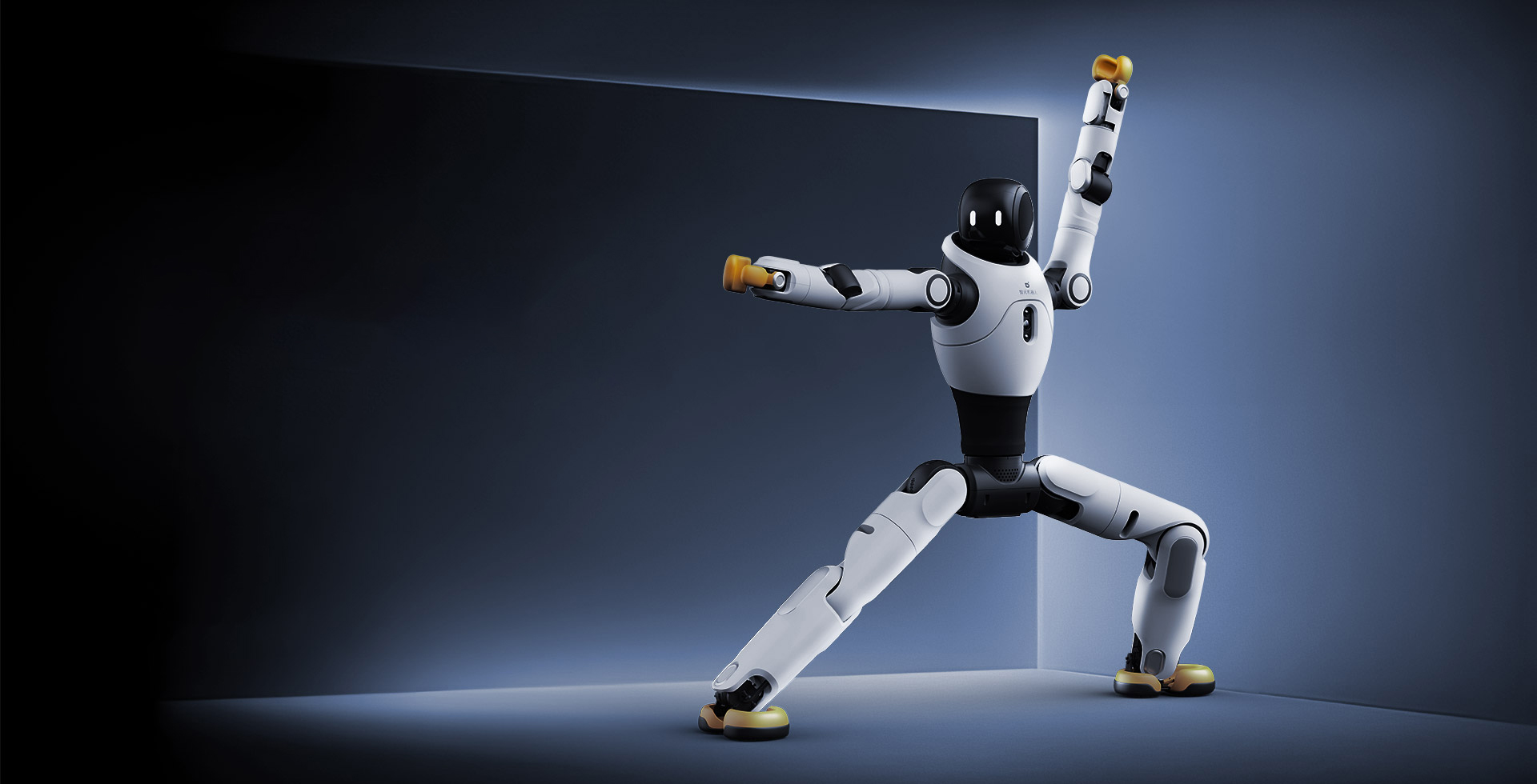 开云·Kaiyun灵犀 X2